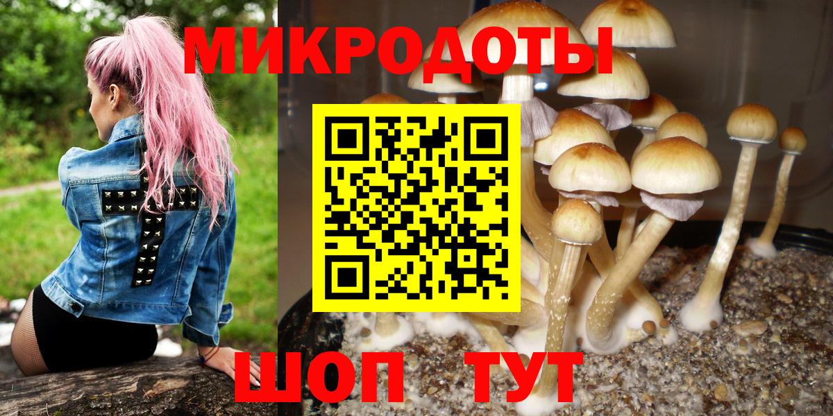 Новороссийск  Псилоцибиновые грибы мицелий  Вход с VPN 